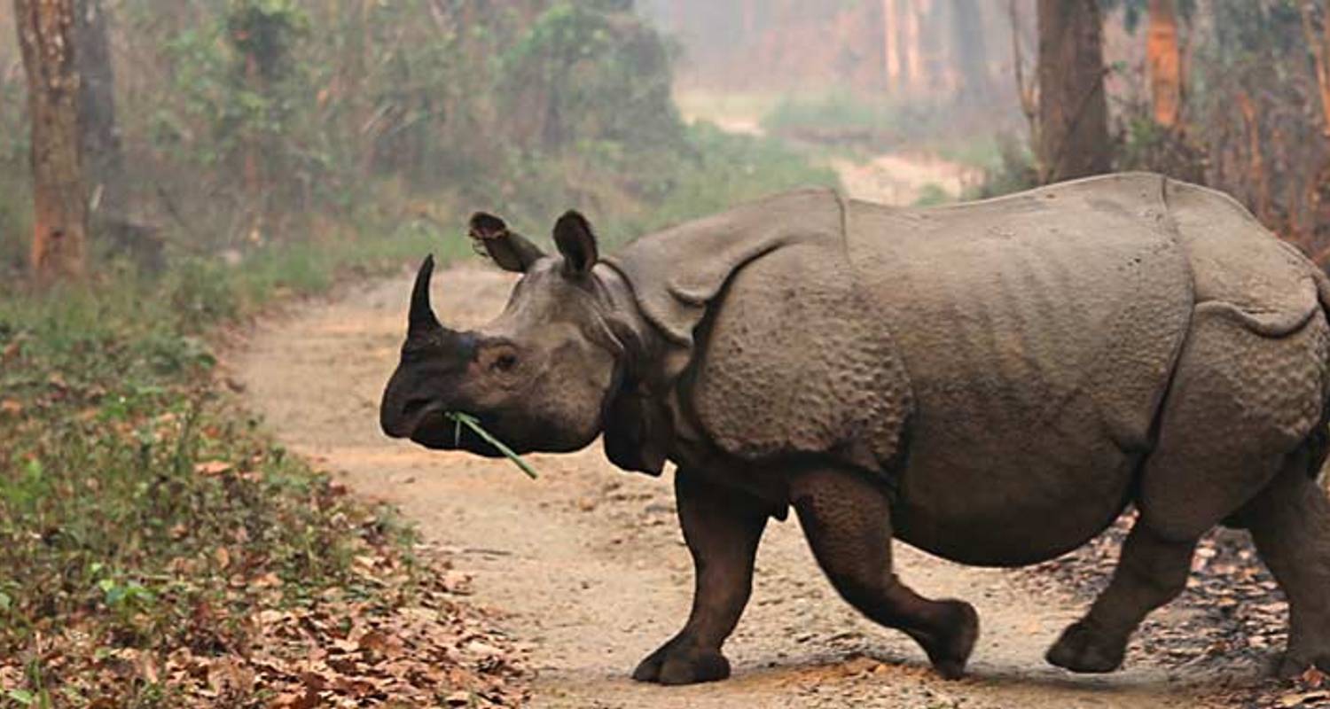 Chitwan National Park Extension